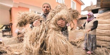 Erdoğan'ın 'Kenevir' Hamlesi Üreticinin Yüzünü Güldürdü