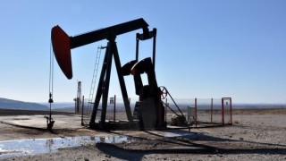 TPAO'ya Mardin ve Şırnak'ta petrol arama ruhsatı verildi