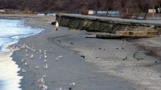 Marmara Denizi neden çekildi?