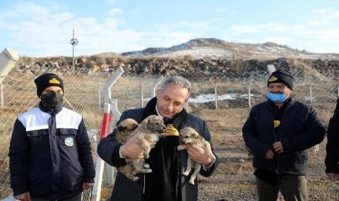 Kayseri Talas’a Türkiye’ye örnek Pati Evi