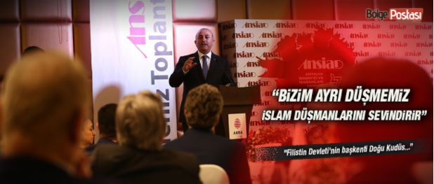 Çavuşoğlu: Bizim ayrı düşmemiz İslam düşmanlarını sevindirir