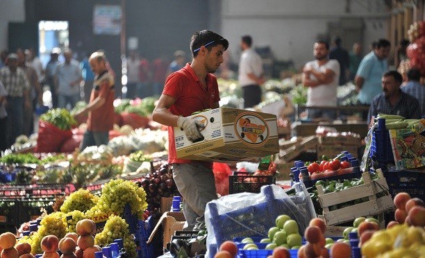 Halde denetimler arttı