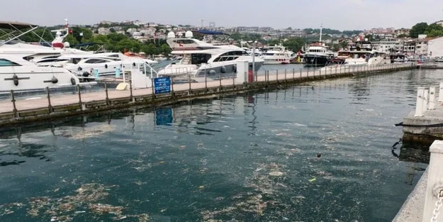 Haliç'i 26 yıl önce yok olmaktan kurtaran Prof'tan can alıcı uyarı