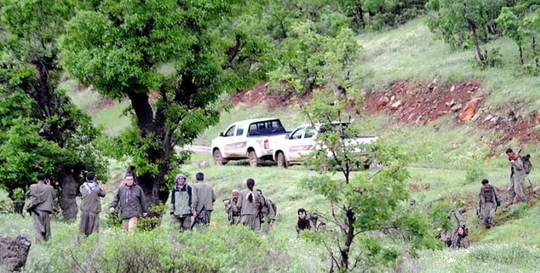 PKK'nın Hamile Kadını İnfazı, Terörist İfadesinde